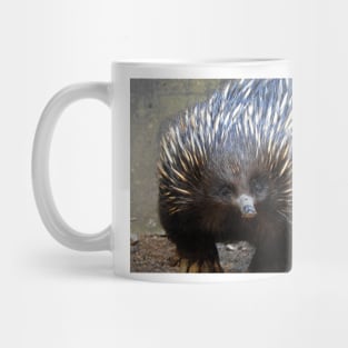 Echidna Mug